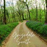 Grizedale South Indoor Cycling Adventure