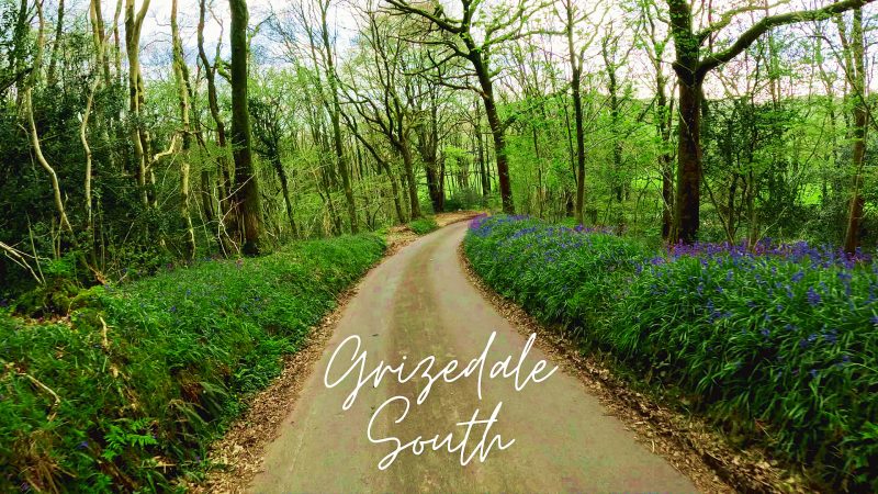 Grizedale South Indoor Cycling Adventure