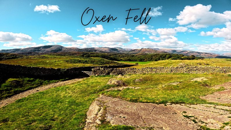 Oxen Fell Indoor Cycling Video