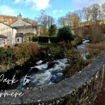 Oxen Park to Windermere 25